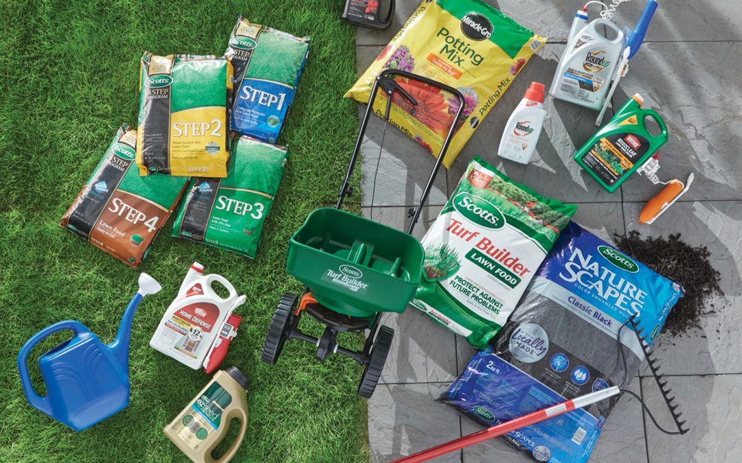 Bye-Bye Weeds! 6 Smart Tips for a Healthier, Weed-Free Yard