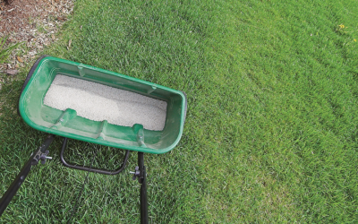 Win at Summer Lawncare