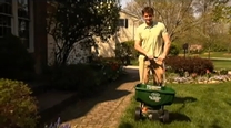 How to feed your lawn