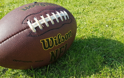 Tackling Fall Lawn Care